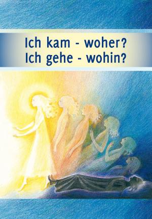 Cover of the book Ich kam - woher? Ich gehe - wohin? by Martin Kübli, Dieter Potzel, Ulrich Seifert