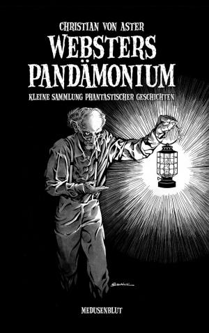 Cover of the book Websters Pandämonium by John VanDenEykel