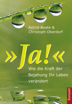 Cover of the book Ja! by Zensho W. Kopp