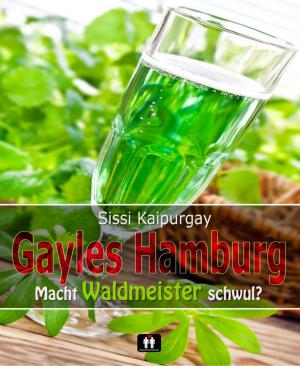 Cover of the book Gayles Hamburg by Leonie von Sandtown