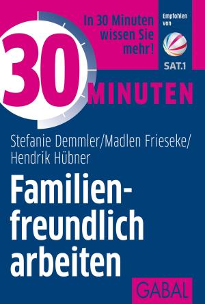 Cover of the book 30 Minuten Familienfreundlich arbeiten by Anne M. Schüller