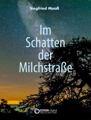 Cover of the book Im Schatten der Milchstraße by Wolfgang Schreyer