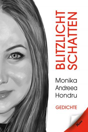 Cover of the book Blitzlicht Schatten by Claudia Pinuu