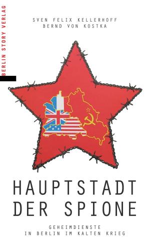 Cover of the book Hauptstadt der Spione by Stefanie Röfke