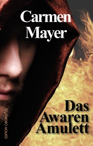 Cover of the book Das Awaren-Amulett by S.A. Rule