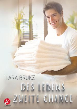 Cover of the book Des Lebens zweite Chance by Raik Thorstad