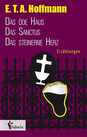 Book cover of Erzählungen: Das öde Haus, Das Sanctus, Das steinerne Herz