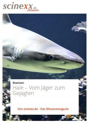 Cover of the book Haie by Rettungs-Magazin