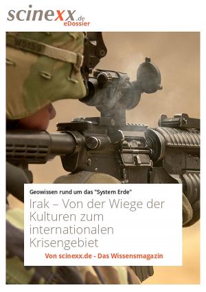 Cover of the book Irak by Dieter Lohmann