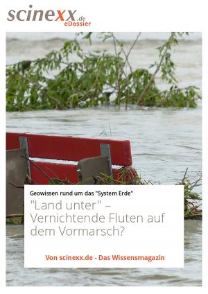 Cover of the book "Land unter" by Dieter Lohmann