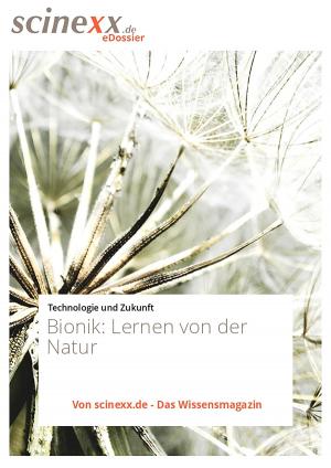 Cover of the book Bionik by Nadja Podbregar