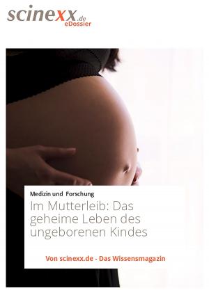 Cover of the book Im Mutterleib by Edda Schlager