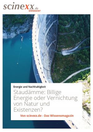 Cover of the book Staudämme by Ansgar Kretschmer