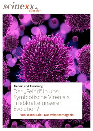 Cover of the book Der "Feind" in uns by Hygiene-Netzwerk GmbH & Co KG