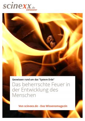 Cover of the book Die Macht des Feuers by Ansgar Kretschmer