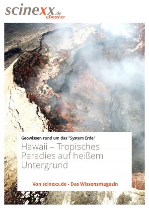 bigCover of the book Hawaii by 