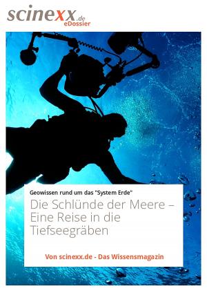 Cover of the book Die Schlünde der Meere by Ansgar Kretschmer