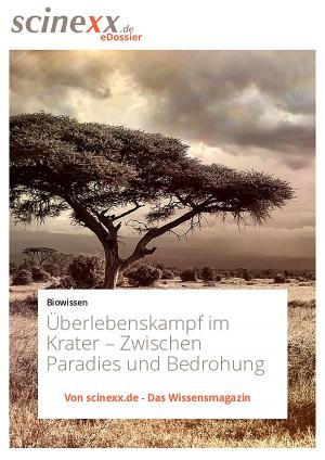 Book cover of Überlebenskampf im Krater