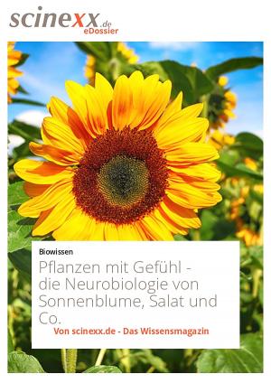 Cover of the book Pflanzen mit Gefühl by Kerstin Schmidt-Denter