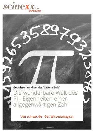Cover of the book Die wunderbare Welt des Pi by Nadja Podbregar