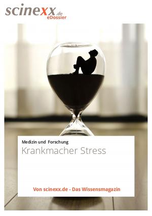 Book cover of Krankmacher Stress
