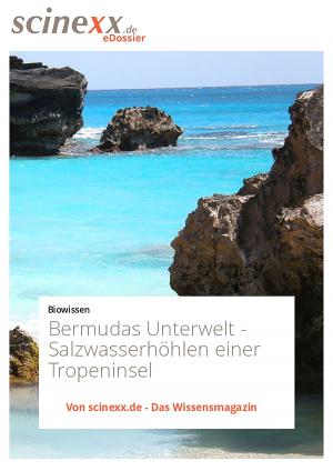 Cover of the book Bermudas Unterwelt by Heilbronner Stimme