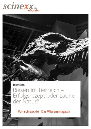Cover of the book Riesen im Tierreich by Dieter Lohmann