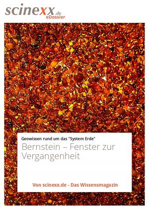 Cover of the book Bernstein by Hygiene-Netzwerk GmbH & Co KG