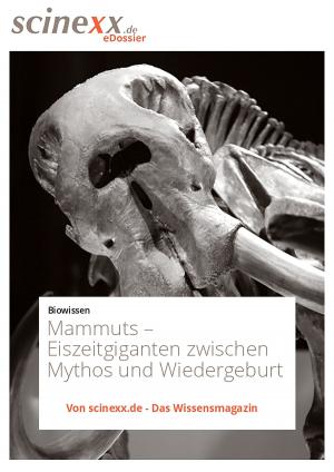 Cover of the book Mammuts by Dieter Lohmann