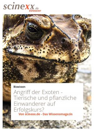 Cover of the book Angriff der Exoten by Martina Richter