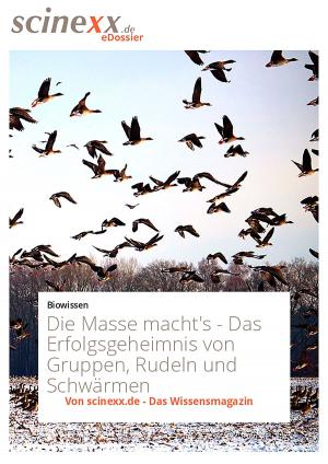 Cover of the book Die Masse macht's by Nadja Podbregar