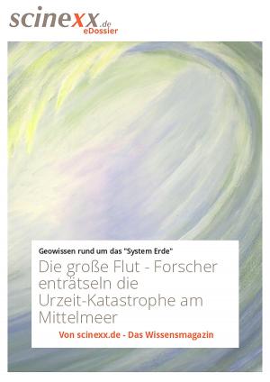 Book cover of Die große Flut