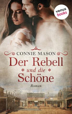 Cover of the book Der Rebell und die Schöne by Don Hatfield