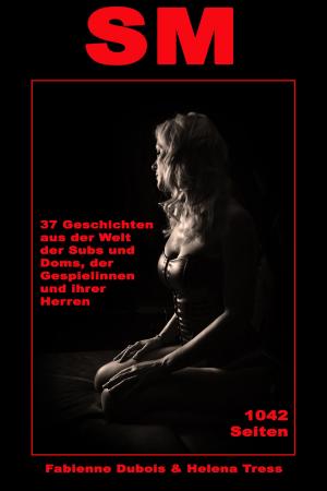 Book cover of SM - 37 Geschichten aus der Welt der Subs und Doms, der Gespielinnen und ihrer Herren