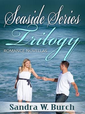 bigCover of the book Seaside Series Trilogy by 