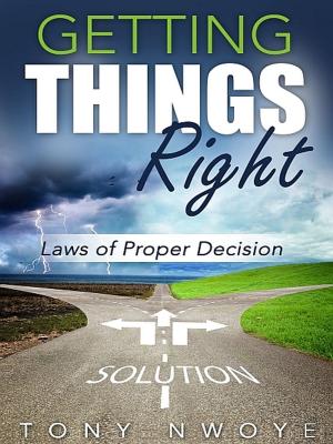 Cover of the book Getting Things Right by Prof John de Maison, ESQ