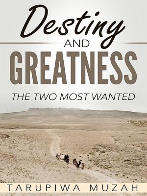 Cover of the book Destiny and Greatness by Kornelia Seebacher