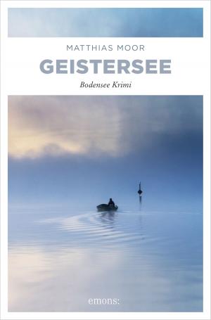 Cover of the book Geistersee by Barbara Meyer