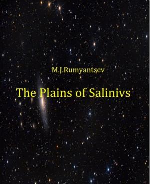 Book cover of The Plains of Salinivs