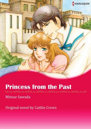 Book cover of PRINCESS FROM THE PAST