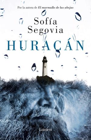 Cover of the book Huracán by David Espino