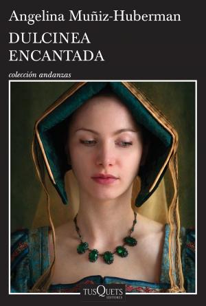 Cover of the book Dulcinea encantada by Andrea Longarela