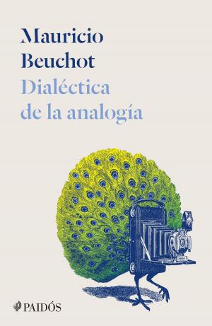 Cover of the book Dialéctica de la analogía by Juan Rallo