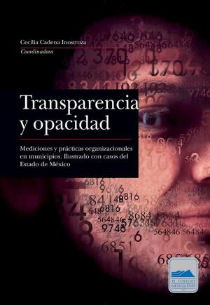 Cover of the book Transparencia y opacidad by Victoria Stoklasa