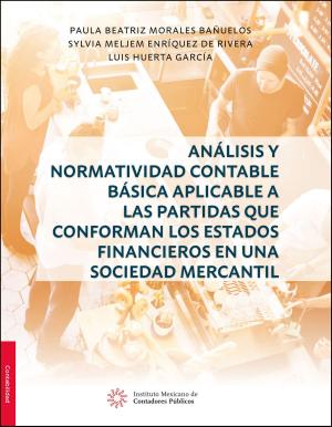 Cover of the book Análisis y Normatividad Contable básica aplicable a las partidas que conforman los estados financieros en una sociedad mercantil by José Manuel Ortega Márquez