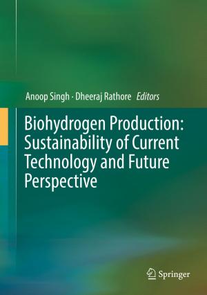 Cover of the book Biohydrogen Production: Sustainability of Current Technology and Future Perspective by Indranil Samanta