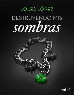Cover of the book Destruyendo mis sombras by Merche Diolch