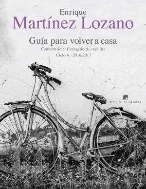 Cover of the book Guía para volver a casa. Comentario al Evangelio de cada día Ciclo A 2016/2017 by Anselm Grün, Willigis Jäger
