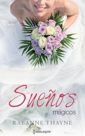 Cover of the book Sueños mágicos by Kimberly Van Meter