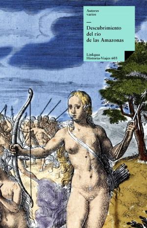 Cover of the book Descubrimiento del río de las Amazonas by Tirso de Molina